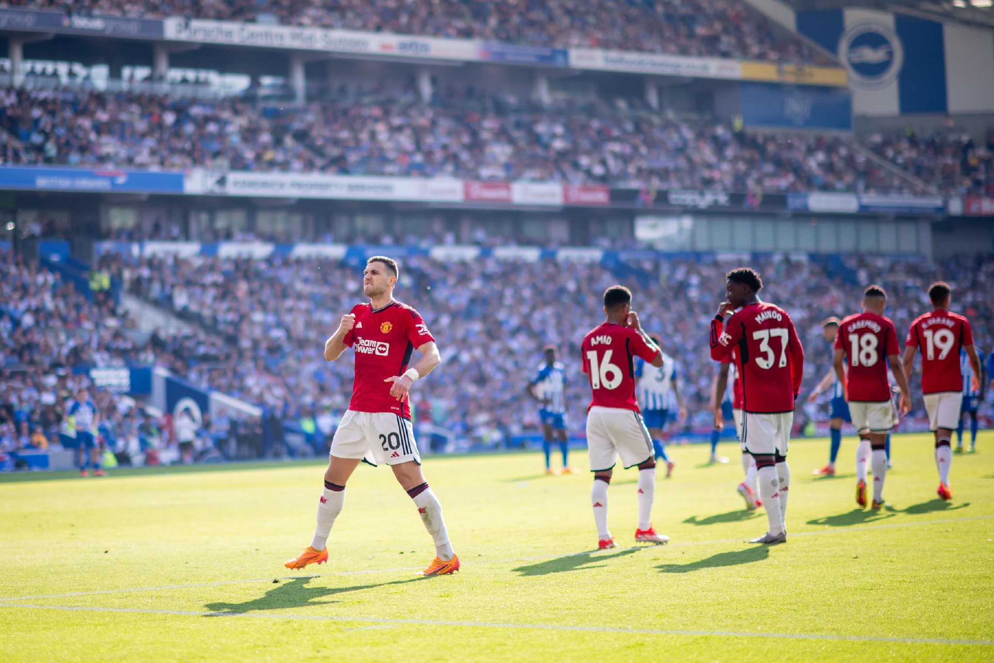 僅是在看一 僅是在看一