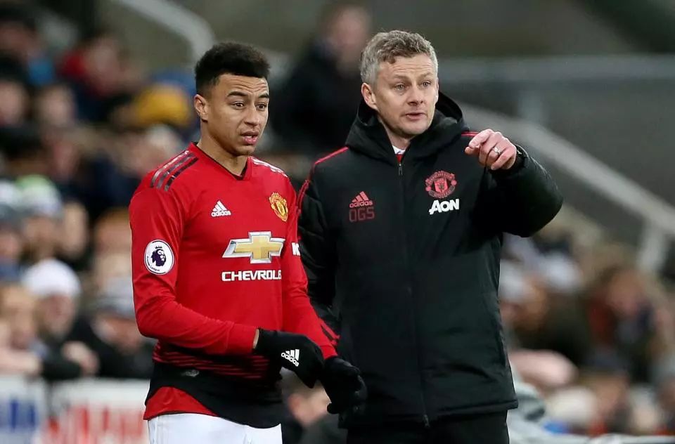 多元化和区 多元化和区